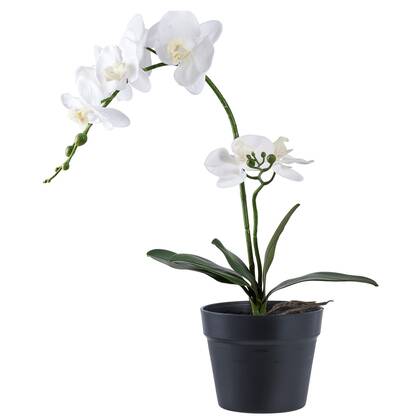 House Nordic Orchidee Kunstplant Groen|Wit H49 cm