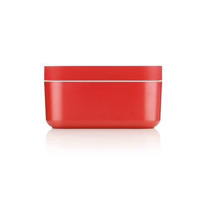 IJsblokjesvorm met bewaardoos - Red Rood