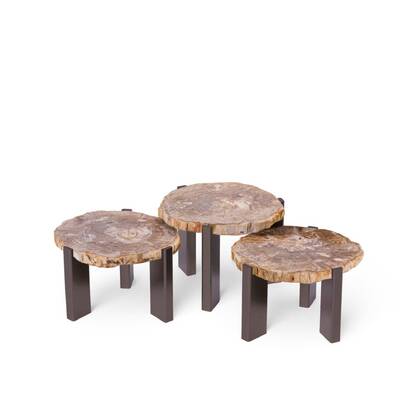 PTMD Salontafel Rudi - 50x60x43 cm - Hout - Naturel - Set van 3 Multicolor