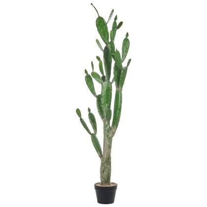 Beliani - OPUNTIA CACTUS - Kunstplant - Groen - 150 cm - Kunststof
