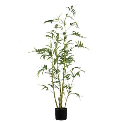 PTMD Tree Green Bamboo Tree In Pot Groen