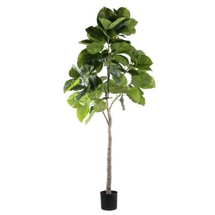 PTMD Kunstplant Ficus - 118x85x183 cm - Polyester - Groen
