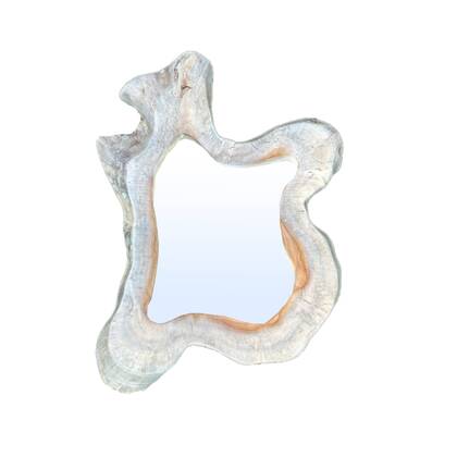 PTMD Hyro Natural Teak Wood Organic Mirror Multicolor