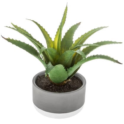 Atmosphera - vetplant kunstplant - in pot van cement - 22 cm Groen