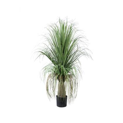 PTMD Kunstboom Coconut - 74x70x101 cm - Polyester - Groen