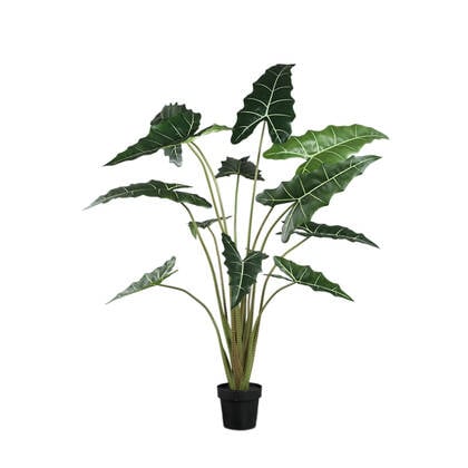 PTMD Leaves Plant Green Alocasia Plant In Pot L Groen