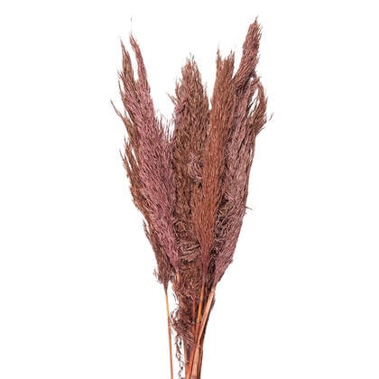 Clayre & Eef Droogbloemen 100 cm Roze Droogbloemen Droogboeket