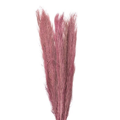 Clayre & Eef Droogbloemen 100 cm Bruin Droogbloemen Droogboeket