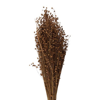 Clayre & Eef Droogbloemen 60 cm Beige Droogbloemen Droogboeket