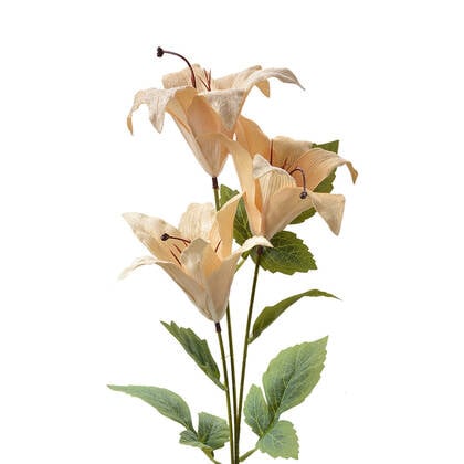 Clayre & Eef Kunstbloem 72 cm Beige Kunststof