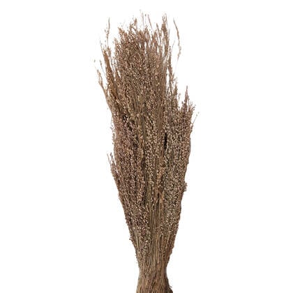 Clayre & Eef Droogbloemen 55 cm Beige Droogbloemen Droogboeket