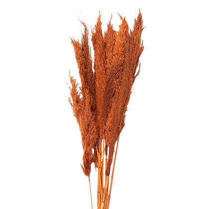 Clayre & Eef Droogbloemen 90 cm Oranje Droogbloemen Droogboeket