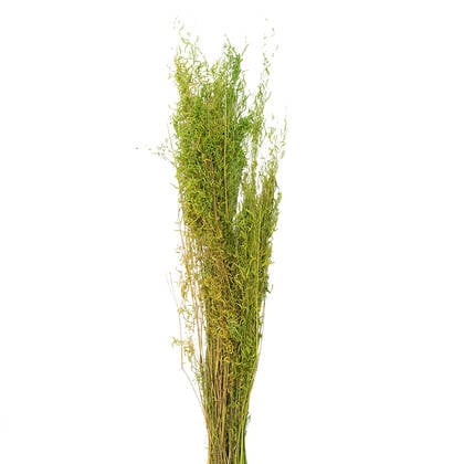 Clayre & Eef Droogbloemen 90 cm Groen Droogbloemen Droogboeket