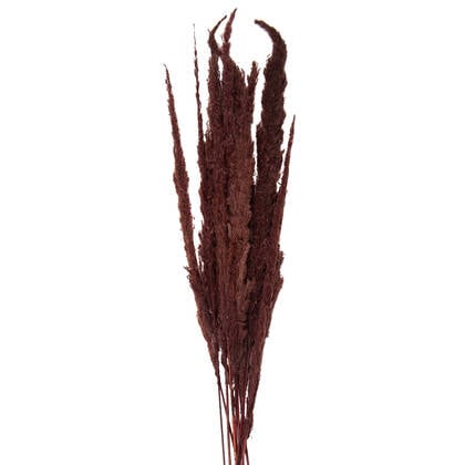 Clayre & Eef Droogbloemen 100 cm Bruin Droogbloemen Droogboeket