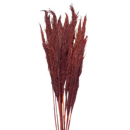 Clayre & Eef Droogbloemen 100 cm Rood Droogbloemen Droogboeket