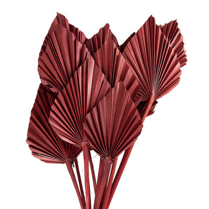 Clayre & Eef Droogbloemen 60 cm Roze Droogbloemen Droogboeket