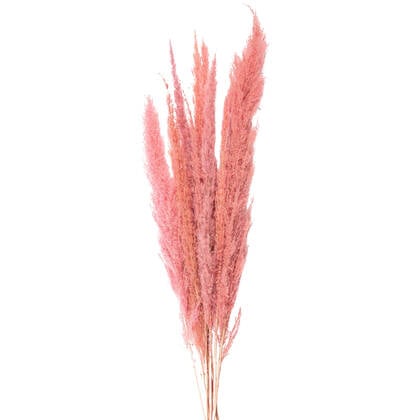 Clayre & Eef Droogbloemen 100 cm Roze Droogbloemen Droogboeket