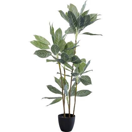 Kunstplanten Calathea 140cm Kare Design Groen