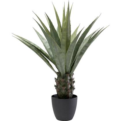 Kunstplanten agave 85cm Kare Design Groen