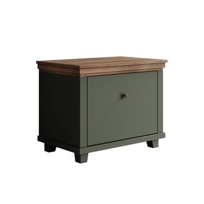 Meubella - Schoenenkast Eric - Groen - 71 cm - 1 klep