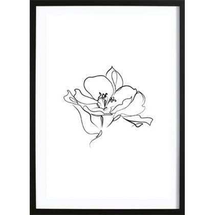 Wallified  Line Flower Poster -  - Abstract - Poster - Print