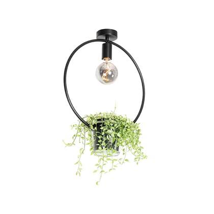 QAZQA Moderne plafondlamp met glas rond - Roslini Zwart